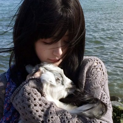 高卢英雄：中国大战罗马帝国