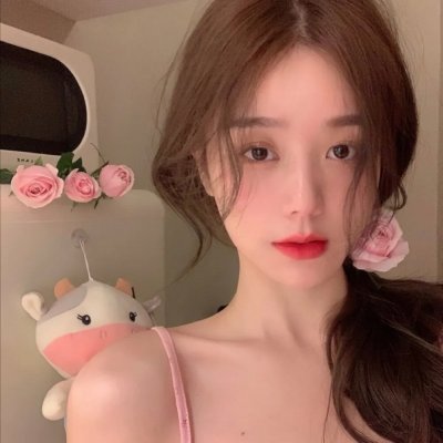 何故惊鸿入梦来